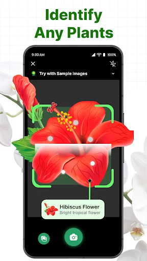 ePlant app identifying a red Hibiscus flower using AI plant scanner with camera frame and recognition results displayed on smartphone screen