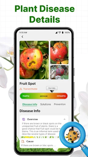 Fruit spot disease details screen displaying multiple disease images, severity levels (Healthy, Medium, Unhealthy), and disease information tabs