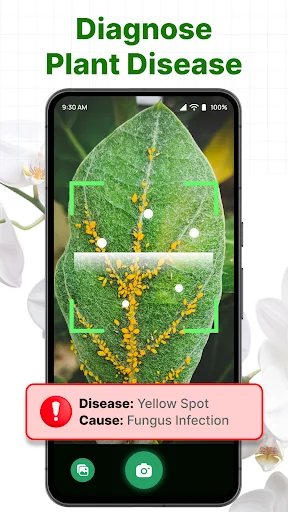 ePlant disease diagnosis screen showing a diseased leaf with yellow spots identified as Yellow Spot caused by fungus infection on smartphone