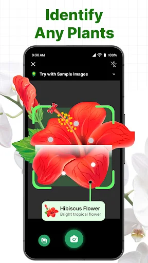 ePlant app identifying hibiscus flower using AI plant scanner with green camera frame and plant recognition result