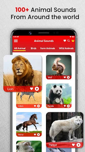 Animal sounds library displaying 100+ animal categories with photos including Lion, Zebra, Panda, Horse, and Parrot.