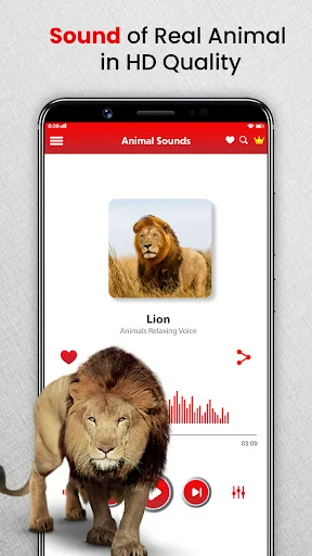 Lion animal sound player showing HD quality audio waveform with playback controls and favorite button.