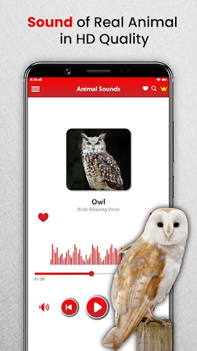 Owl bird sound player with HD quality audio waveform, playback controls, favorite heart, and sound visualization.