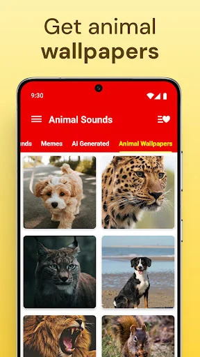 Animal wallpapers section showing grid of high quality animal and pet images including lions, wildcats, dogs, and other animals for phone backgrounds