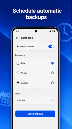 Schedule automatic backups screen with Daily frequency selected and backup time set to 10:30 AM with Save Schedule button