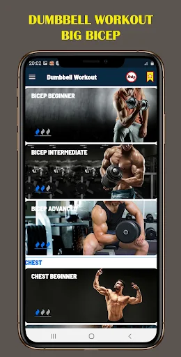 Dumbbell Workout app screen showing Big Bicep training programs from beginner to advanced levels with muscle-specific exercises