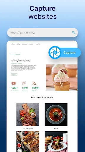 Website capture tool with URL bar and capture button for full-page screenshot functionality