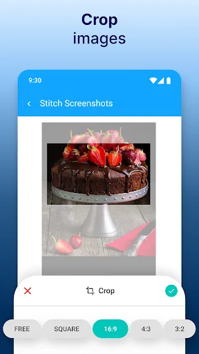 Crop images tool interface showing aspect ratio options including free, square, 16:9, 4:3, and 3:2