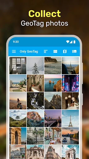 Photo gallery grid displaying collection of geotagged images with location data filter and organize features