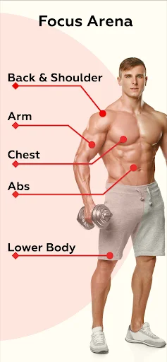 Focus Arena muscle groups diagram - Back, Shoulder, Arm, Chest, Abs, and Lower Body target areas for workouts