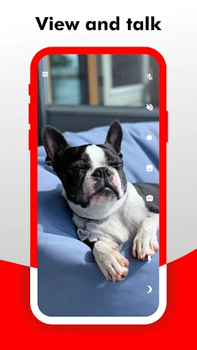 View and talk functionality shows two-way audio communication with pet on couch in live surveillance video feed