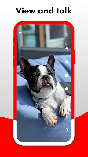 View and talk functionality shows two-way audio communication with pet on couch in live surveillance video feed