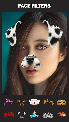 Animal face filter with cow ears and nose effect and decorative filter options