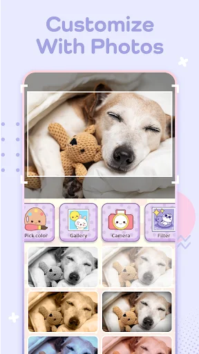 Photo customization in Niki app with dog image, color filters, gallery, camera, and filter editing tools