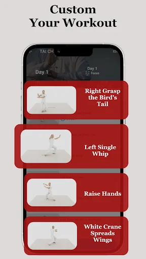 Custom Your Workout showing Day 1 tai chi exercises: Right Grasp Bird's Tail, Left Single Whip, Raise Hands, White Crane