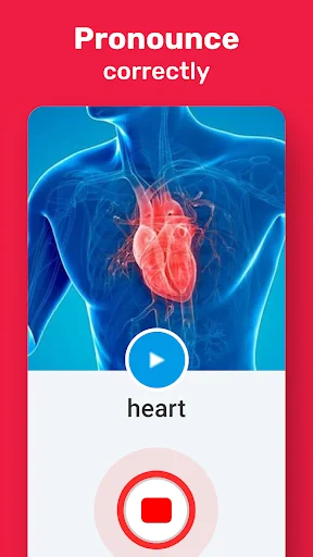Pronunciation exercise showing anatomical heart image with audio playback and recording button for word heart